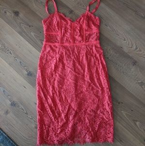 Express lace dress